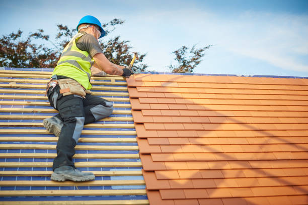 Best Roof Moss and Algae Removal  in Greenville, GA